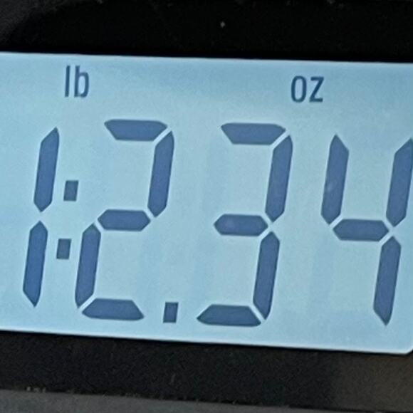 Express Mens Polo Shirt Modern Fit Size Small - Picture 8 of 9